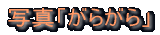 ʐ^uJX^lbgv